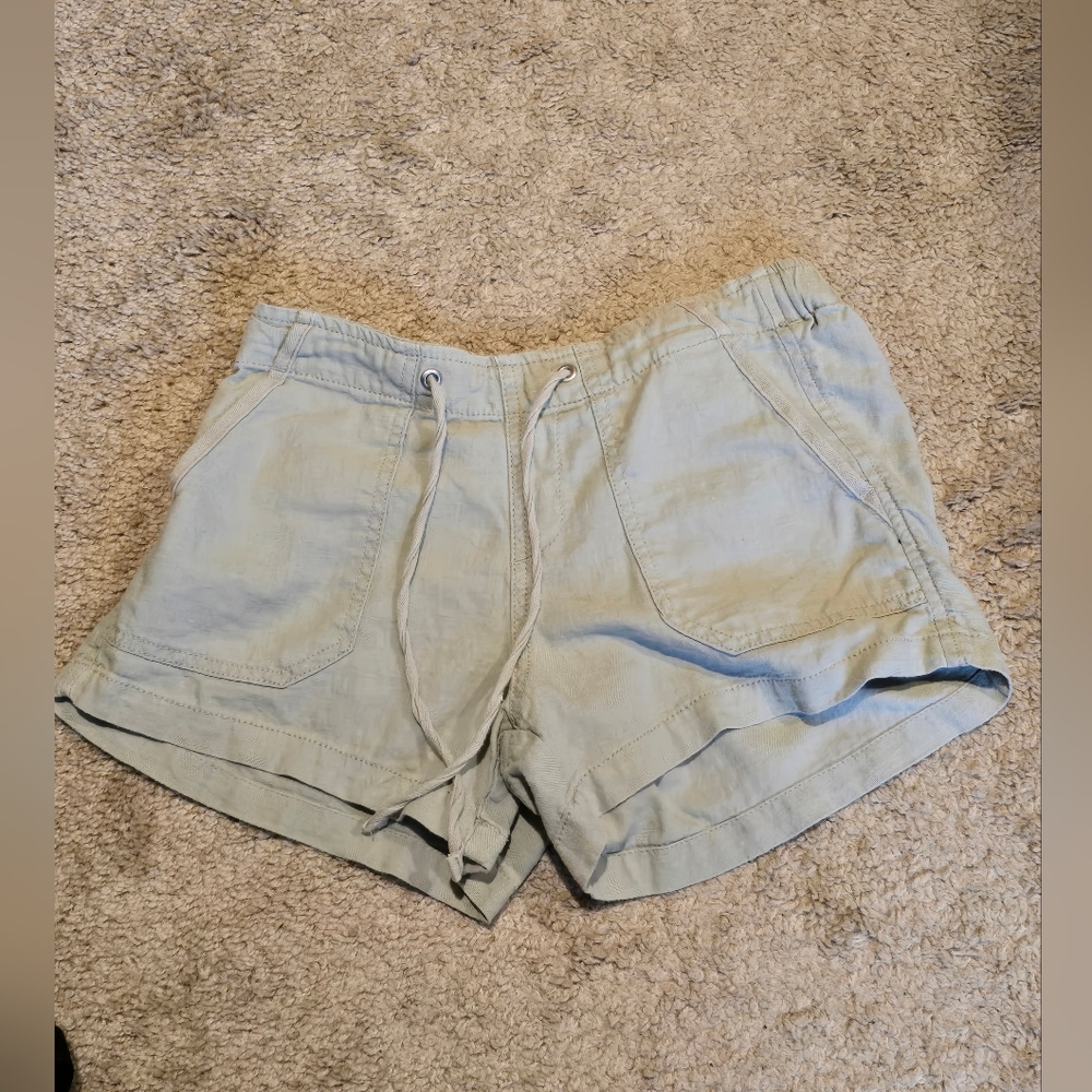 Silver Sage  Casual Shorts
